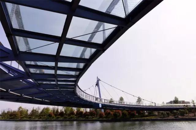 1554971014320027.jpg 18.jpg