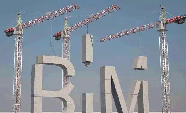 BIM知识.jpg